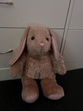 Build-A-Bear Plush Bunny with White Tail